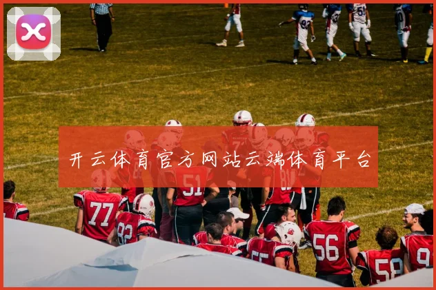 开云体育官方网站云端体育平台