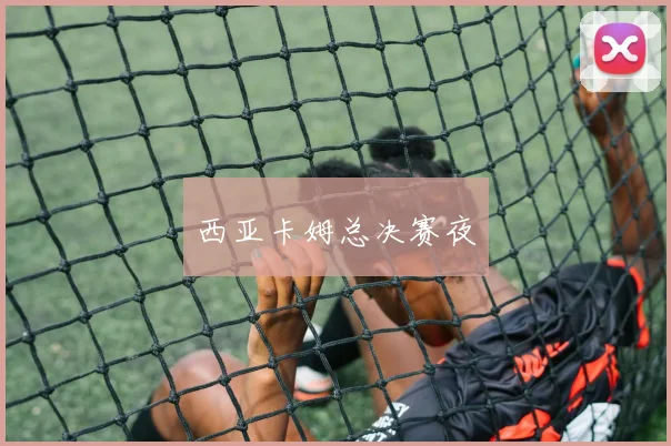 西亚卡姆总决赛夜