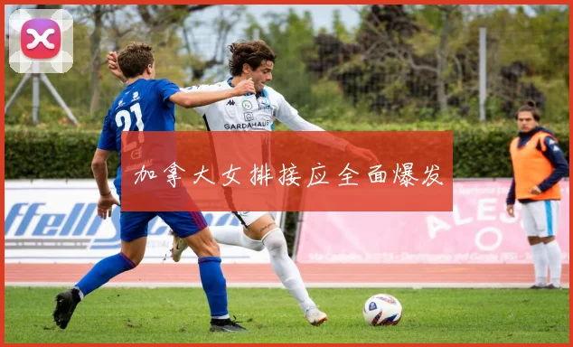 加拿大女排接应全面爆发