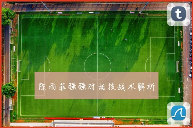 陈雨菲强强对话技战术解析