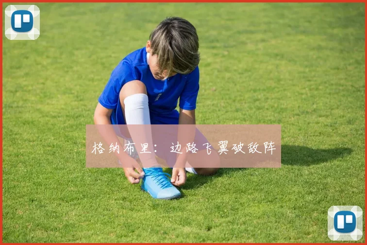 格纳布里：边路飞翼破敌阵