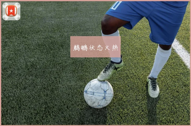 鹈鹕状态火热